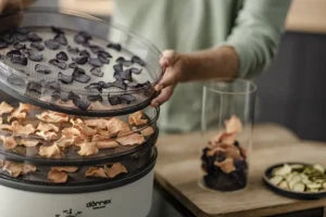 Stöckli dōrrex dehydrator - mattørke med timer og plastgitterbrett